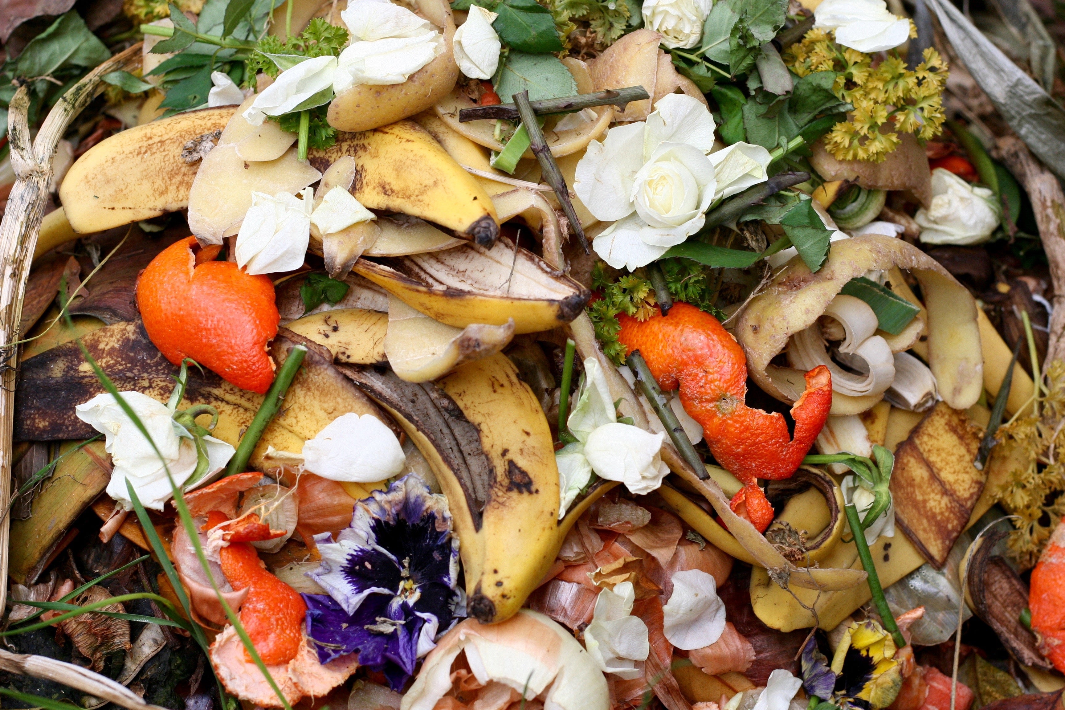 Home Composting – A super easy guide