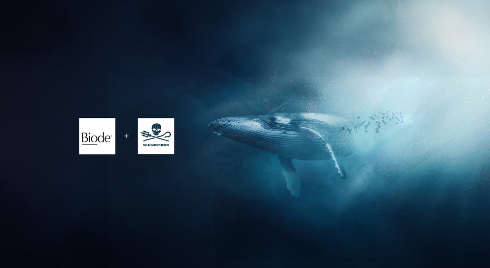Biode Logo Sea Shepherd + Biode : A Timely Partnership
